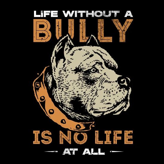 American Bully American Bully Pitbull Mom Taureau T Shirt Bebe Spreadshirt
