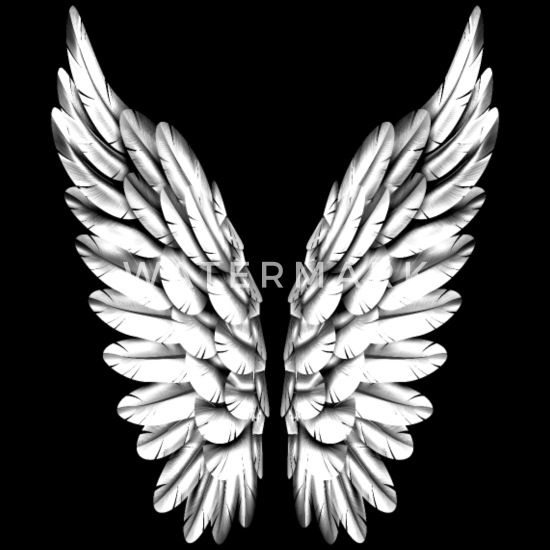 Angel Wings silber "  auch als Damen-Girli Shirt  NEU T-Shirt " Engel Flügel 