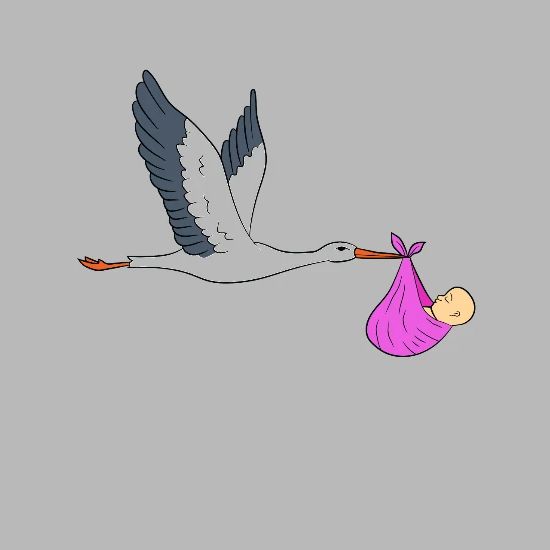 Cigogne Apporte Bebe Tissu Rose Avec Bebe Gourde Spreadshirt Cigogne Apporte Bebe Tissu Rose Avec Bebe Gourde Spreadshirt