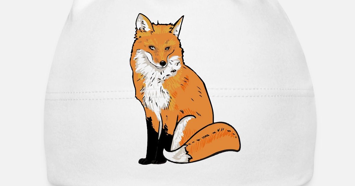 Illustration De Renard Bonnet Bebe Spreadshirt