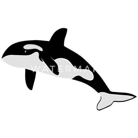 18 Pulgadas De Gr Koltose By Mash Orca Killer Whale Peluche 