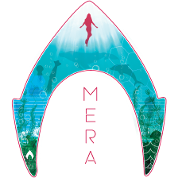 Aquaman Film Logo Mera Silhouette Turnbeutel Spreadshirt