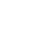 Oiseau De Paradis Blanc En Origami Bavoir Bio Bébé Fuchsia