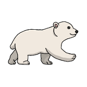 Ours Polaire Bebe Jeune Mignon Animal Dessin Ours En Peluche Spreadshirt