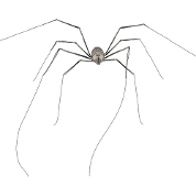 Opilion Faucheux Araignee Faucheuse Coque Elastique Iphone Spreadshirt