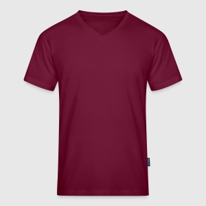 Men's Organic V-Neck T-Shirt - Front