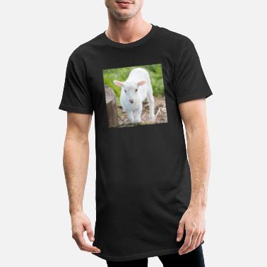 Agneaux Agneau agneau - T-shirt long Homme