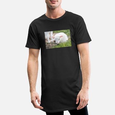 Agneau Agneau agneau - T-shirt long Homme