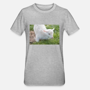 Agneaux Agneau agneau - T-shirt polycoton Unisexe