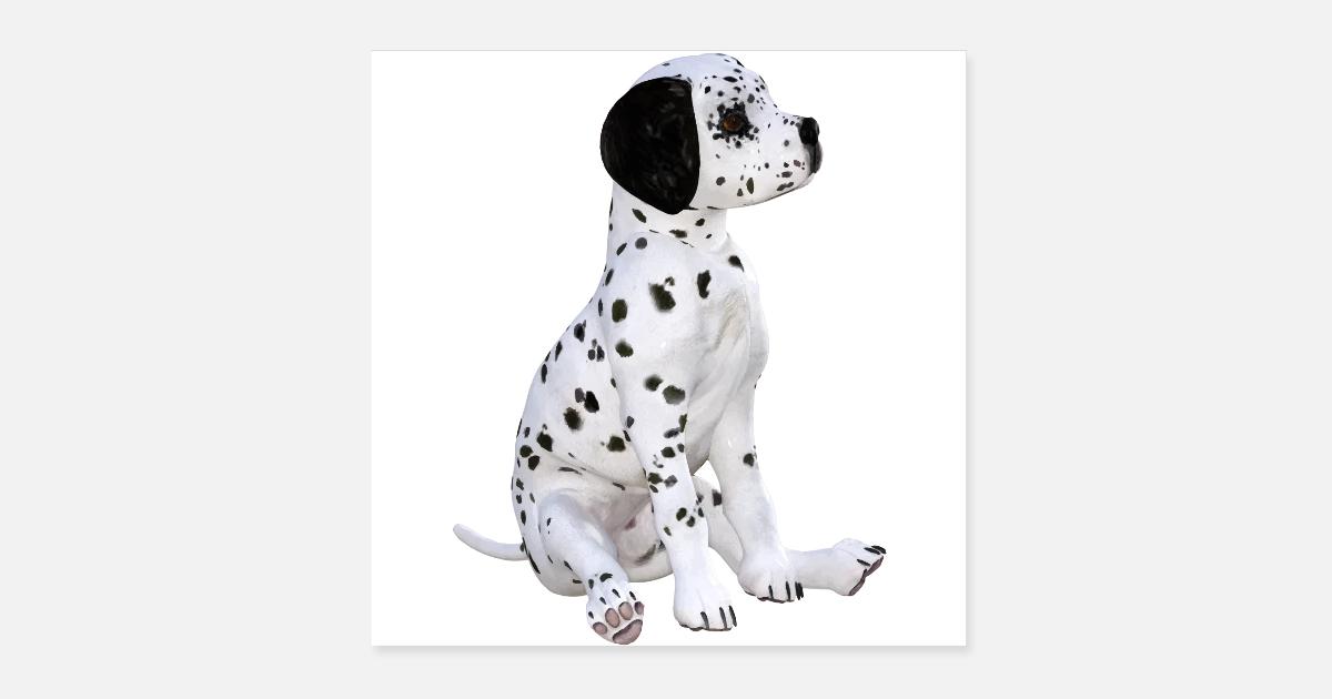 Chien Chiot Dalmatien Posters Spreadshirt