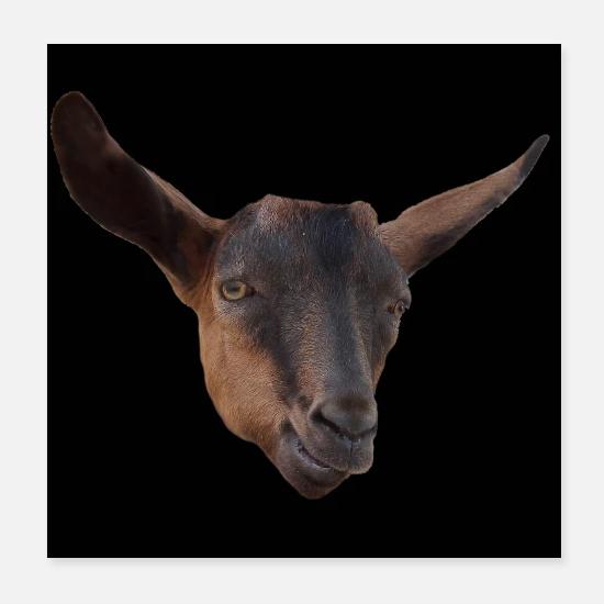 Drole De Chevre Cadeau Idee Cadeau Posters Spreadshirt