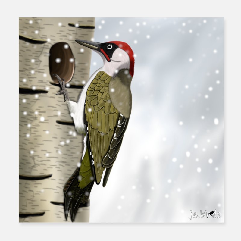 Pájaro carpintero verde pintado en diseño animal de pájaro de nieve' Póster  | Spreadshirt