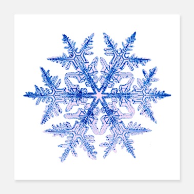 Ice Crystal Ice crystal - Poster
