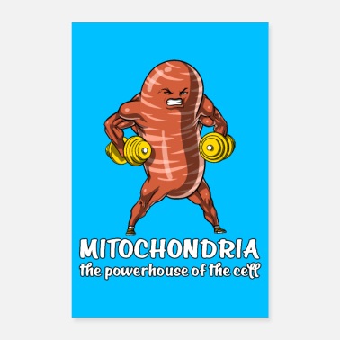 Biology Biology Mitochondria - Poster