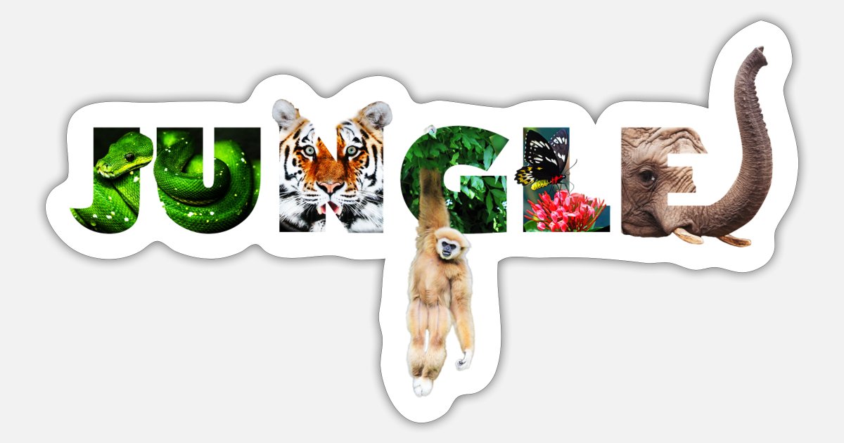 Jungle Rainforest Jungle Slogan with Animals' Sticker | Spreadshirt