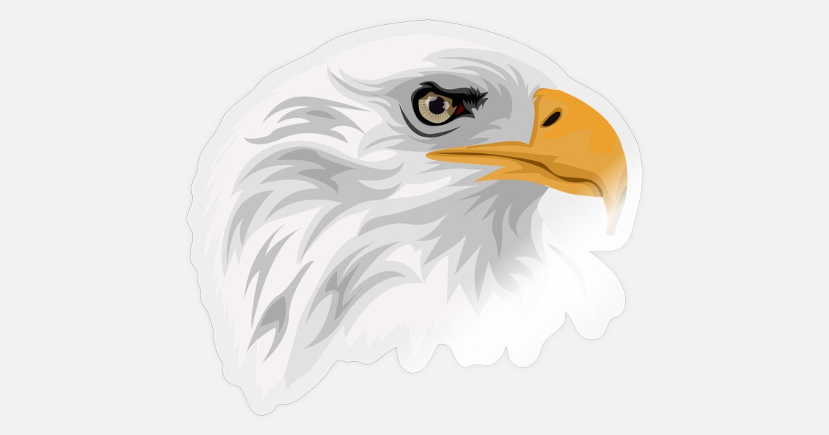 Cabeza de águila calva con pico como dibujo' Pegatina | Spreadshirt