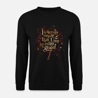 Harry Potter I Solemnly Swear Spruch - Unisex Pullover
