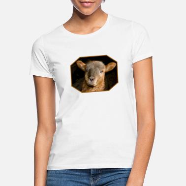 Lamb Lamb - Women&#39;s T-Shirt