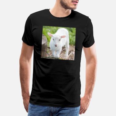 Agneau Agneau agneau - T-shirt premium Homme