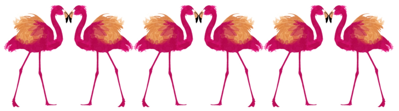 Galerie - AnimalPlanet