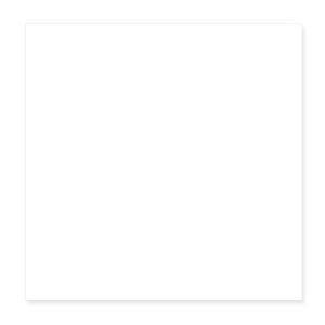 Poster 20 x 20 cm