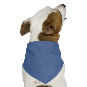 Hunde-Bandana Dreieckstuch - Taubenblau - Vorne