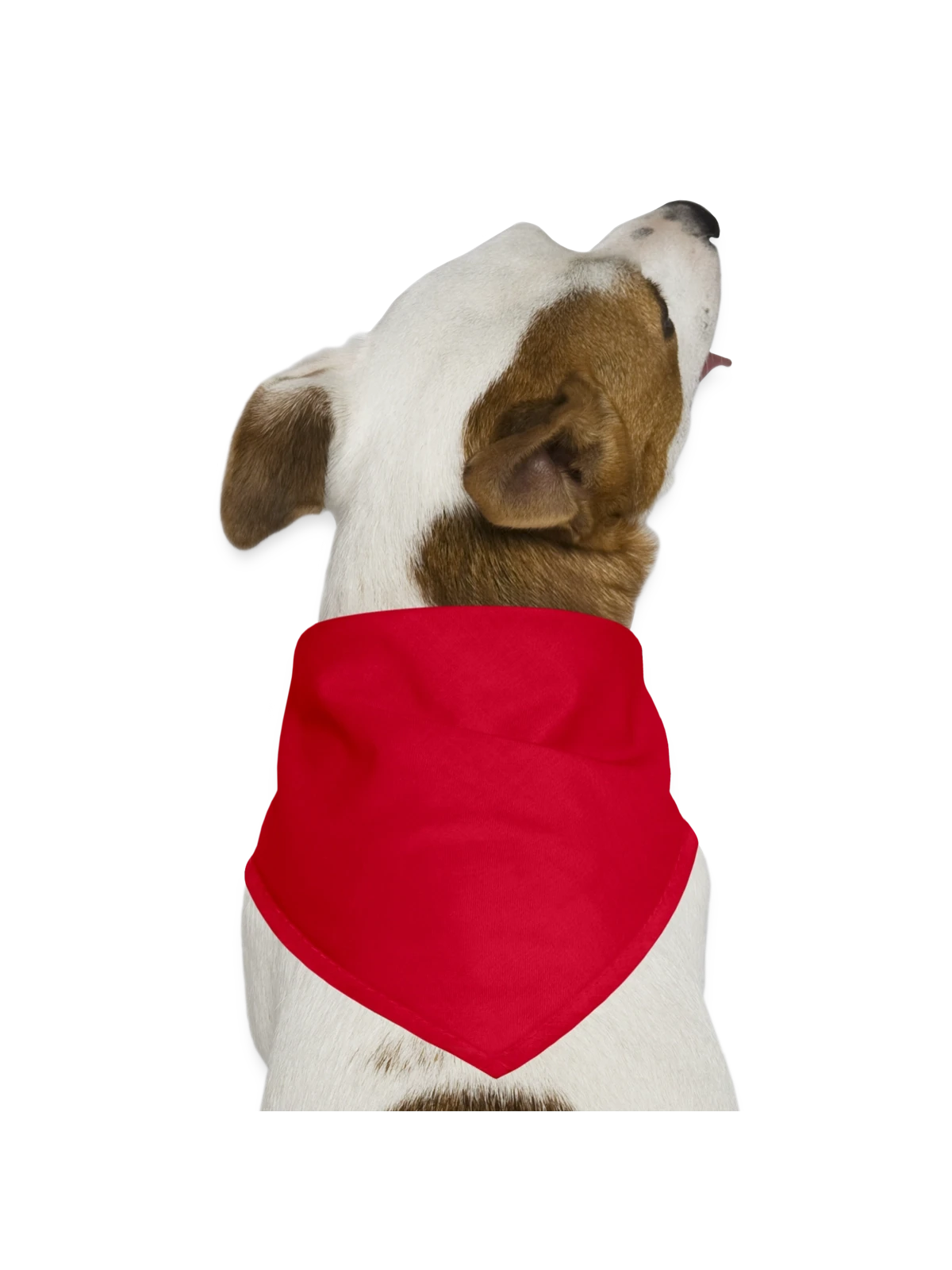 Dog Bandana - red - Front