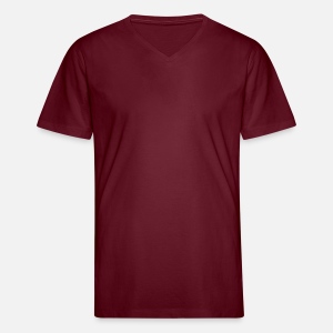 Men's Organic V-Neck T-Shirt Stanley 