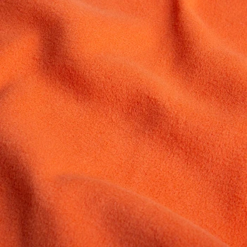 Veste polaire North Homme