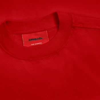 Maglietta boxy ecologica oversize Heavyweight Made in UE