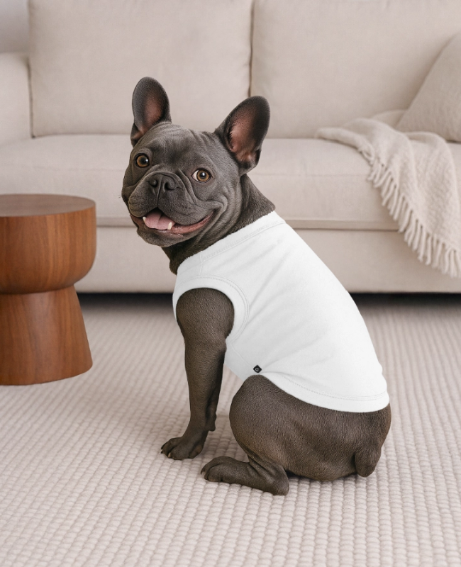 Premium Organic Hunde-T-Shirt Hinten - center