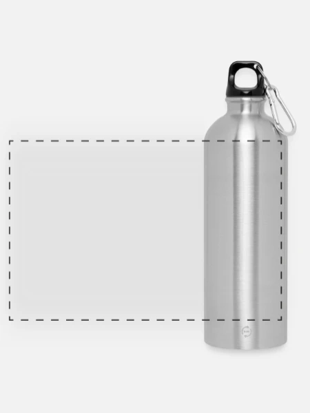 Panoramic Drinks Bottle with Carabiner 750 ml - silver - Front