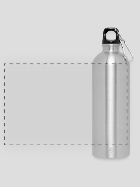 Panorama Trinkflasche mit Karabiner 750 ml - Lightsilver - Vorne