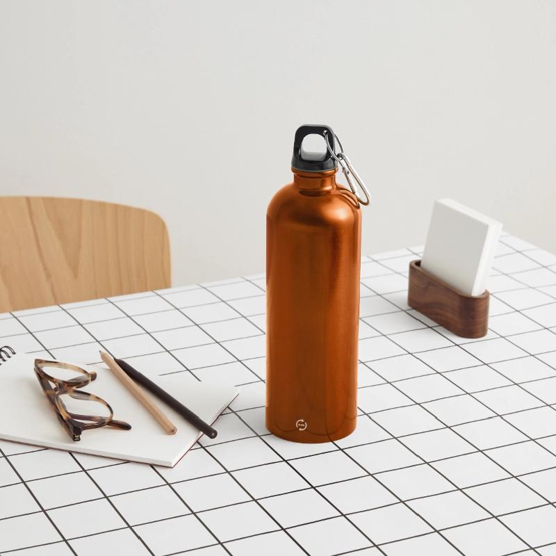 Panorama Trinkflasche mit Karabiner 750 ml