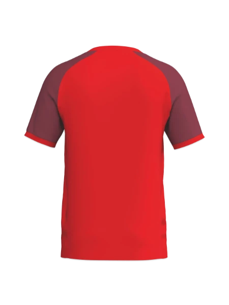 Erima WINGS Jersey - red/bordeaux - Back