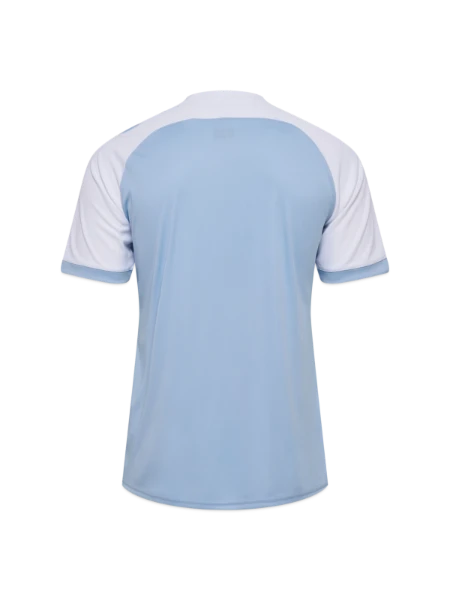 hummel hmlMATCH LEAGUE Jersey - argentina blue/white - Back