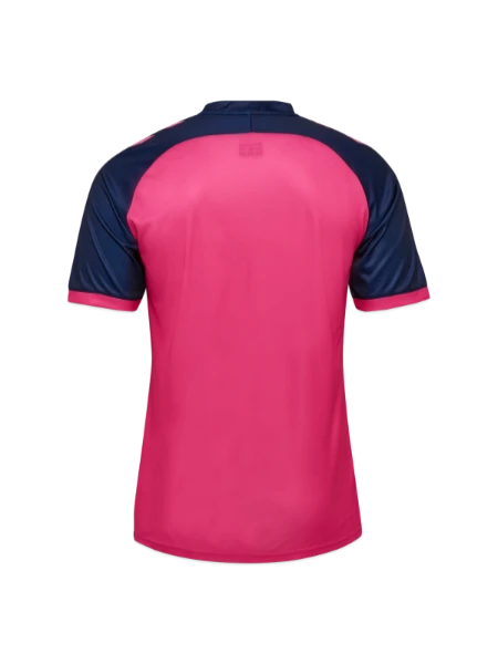 hummel hmlMATCH LEAGUE Jersey - raspberry sorbet/marine - Back