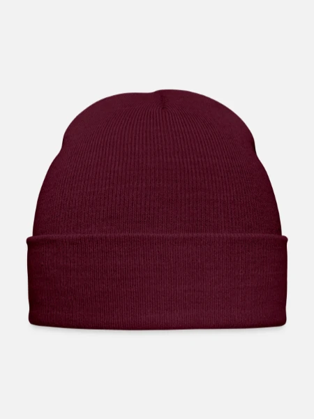 Embroidered Winter Hat - burgundy - Front