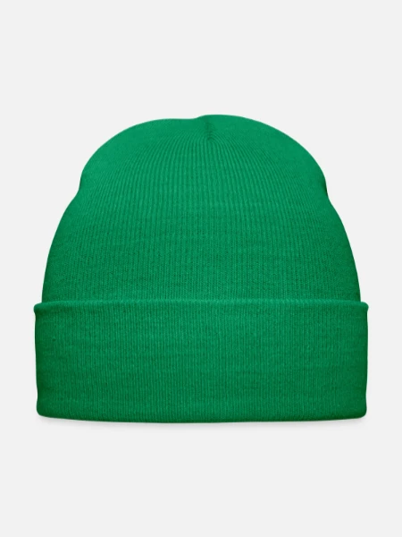 Embroidered Winter Hat - kelly green - Front
