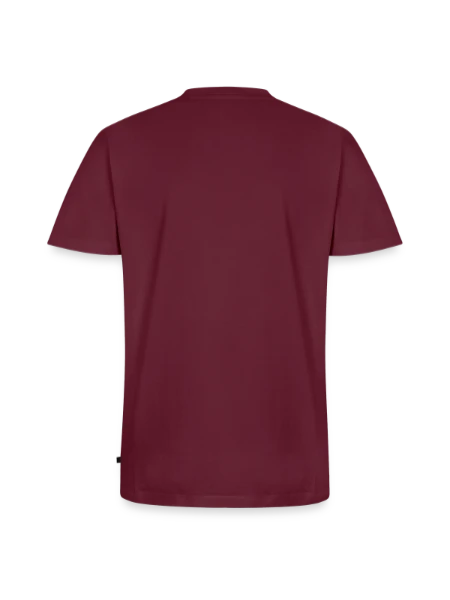 Men's Premium Organic T-shirt with V-neck - burgundy - Back