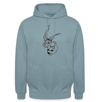 Asterix & Obelix Der Gallier - Unisex Hoodie - Nebelblau - Vorne - Alina (178cm) & Michal (187cm)