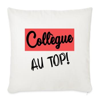 COLLEGUE. DEPART. RETRAITE - Housse de coussin décorative 45 x 45 cm - blanc nature - Devant