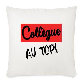 COLLEGUE. DEPART. RETRAITE. EMPLOI. HUMOUR - Housse de coussin décorative 45 x 45 cm - blanc nature - Devant
