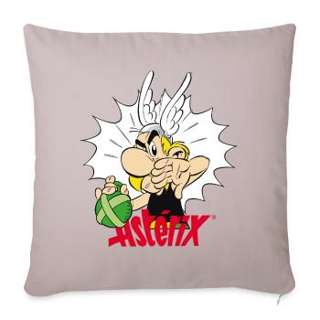 Asterix & Obelix Weg Von Meinem Zaubertrank - Sofakissenbezug 45 x 45 cm - helles Taupe - Vorne
