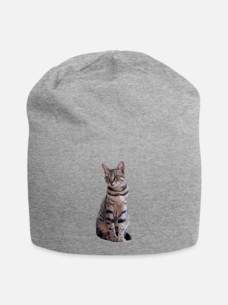 Katze Katzen Süßes Kätzchen Weihnachtsgeschenk - Jersey-Beanie - Grau meliert