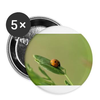 Marienkäfer Käferchen Maikäfer - Buttons groß 56 mm (5er Pack) - Weiß - Vorne