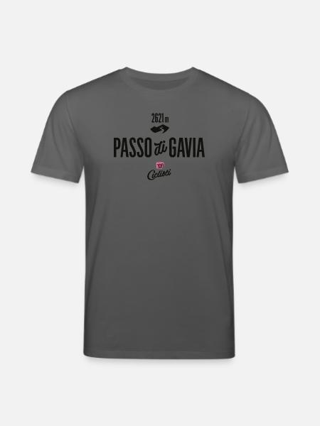 Gavia Pass - Stanley/Stella Unisex Bio-T-Shirt CREATOR  - Anthrazit