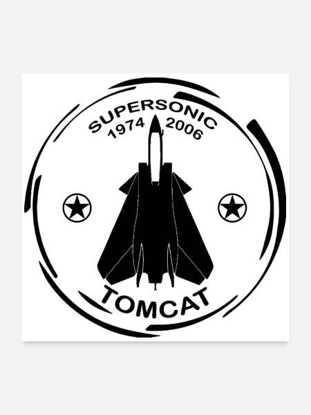 Plane F14 Tomcat - Poster 24" x 24" (60x60 cm) - white - Front