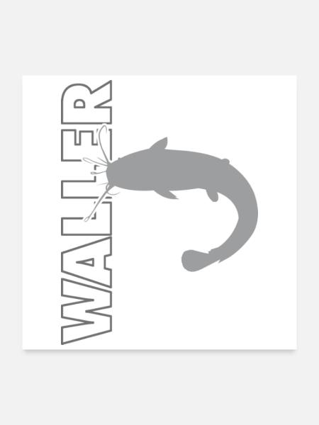 Waller fischen Nachtangeln Angler und Anglerin - Poster 60x60 cm - Weiß - Vorne