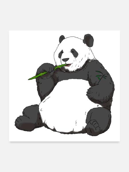 Großer Panda Süßer Pandabär Tierfreund - Poster 60x60 cm - Weiß - Vorne